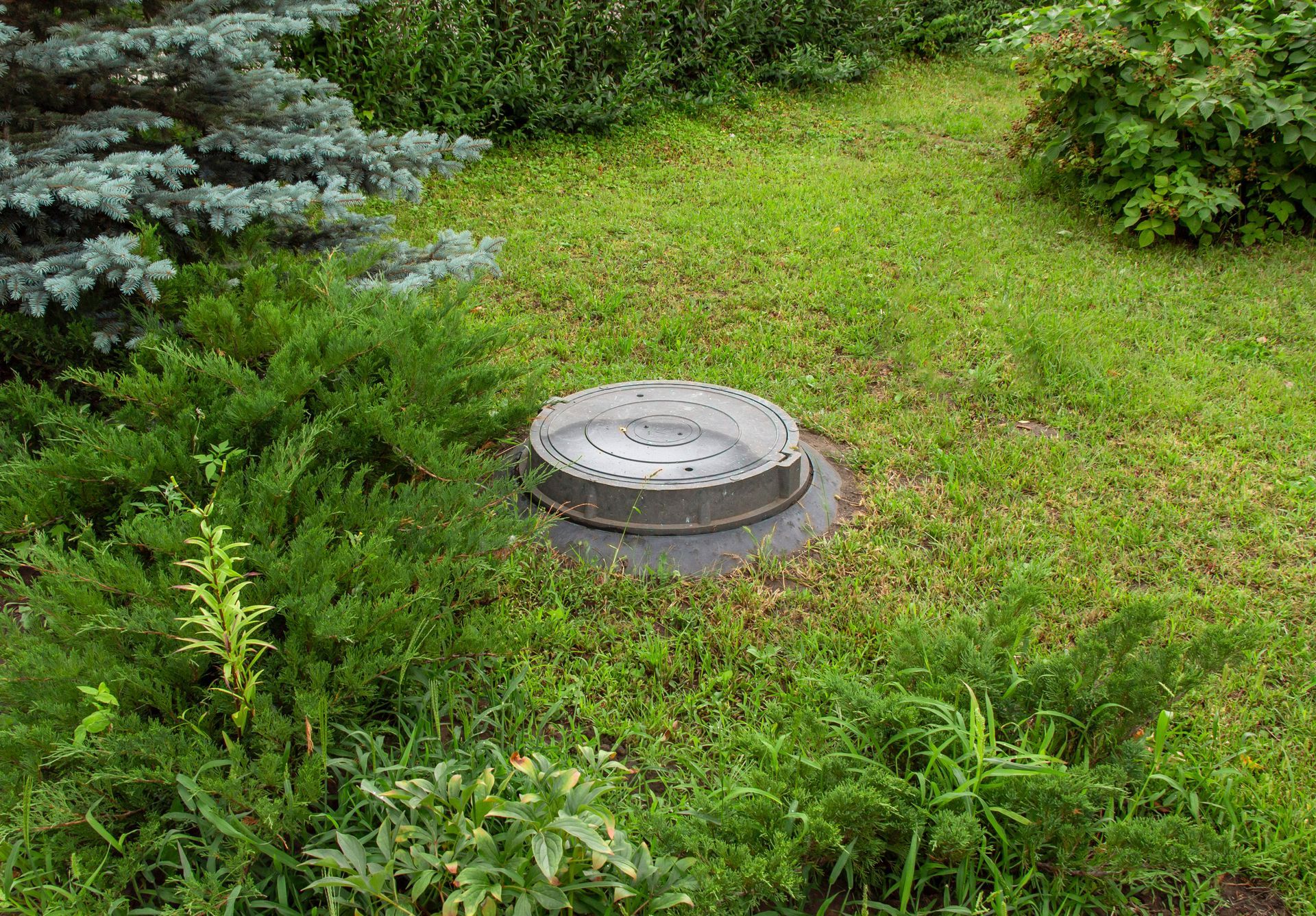 Trappe d'accès de fosse septique.