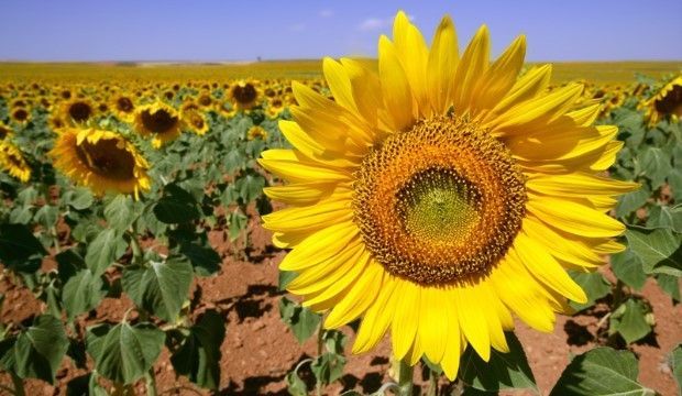 Therapie Anja Stricker