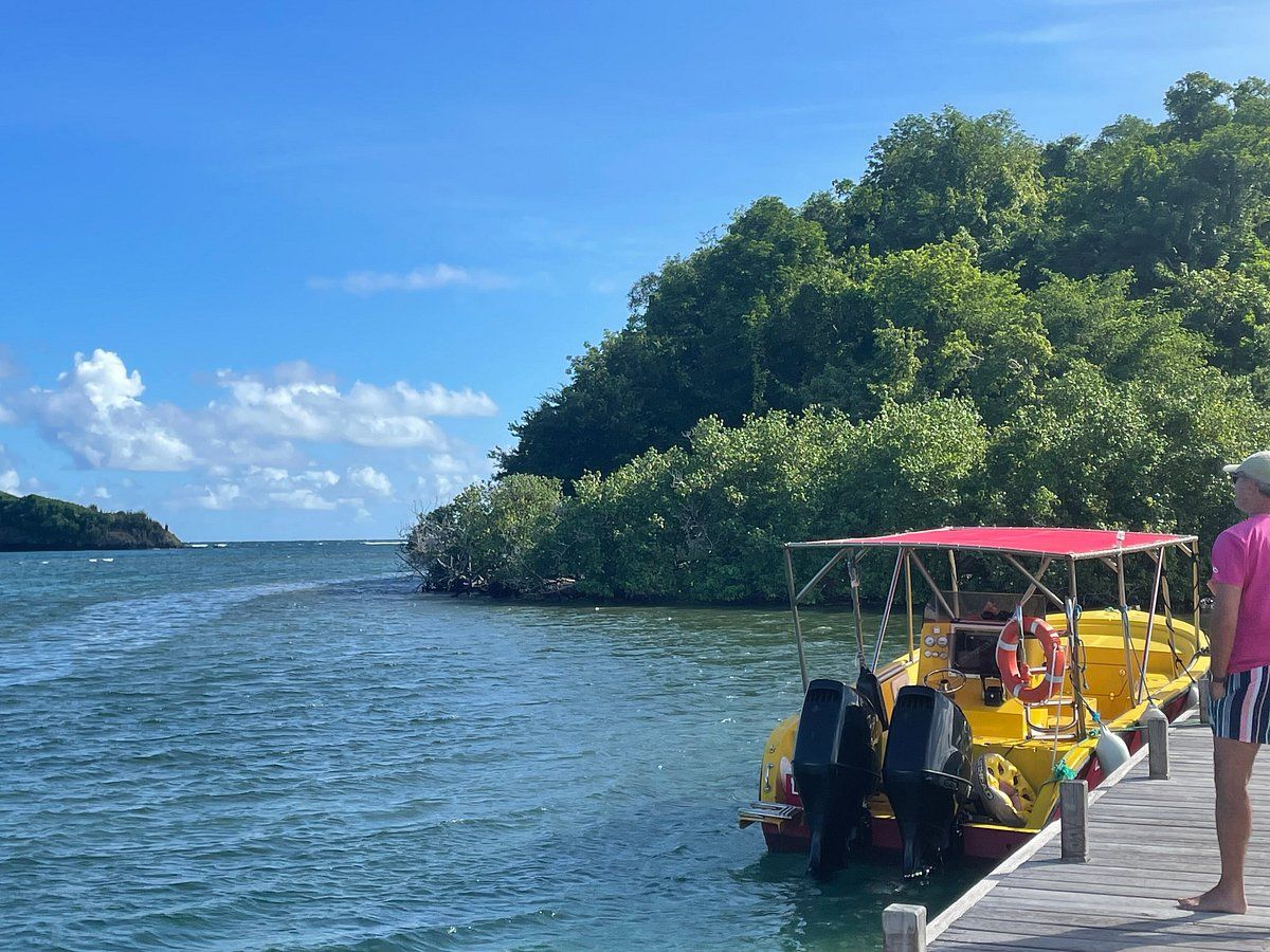 Bateau touristique jaune sur une eau bleue, près d’une île verdoyante, sous un ciel dégagé