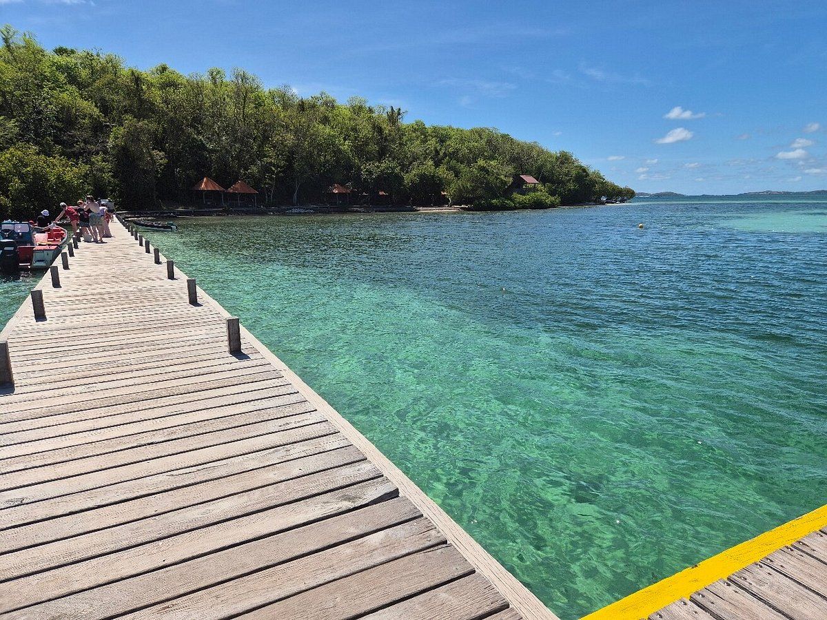 Jetée en bois bordant une eau turquoise cristalline et un rivage verdoyant bordé d’arbres, sous un ciel bleu éclatant