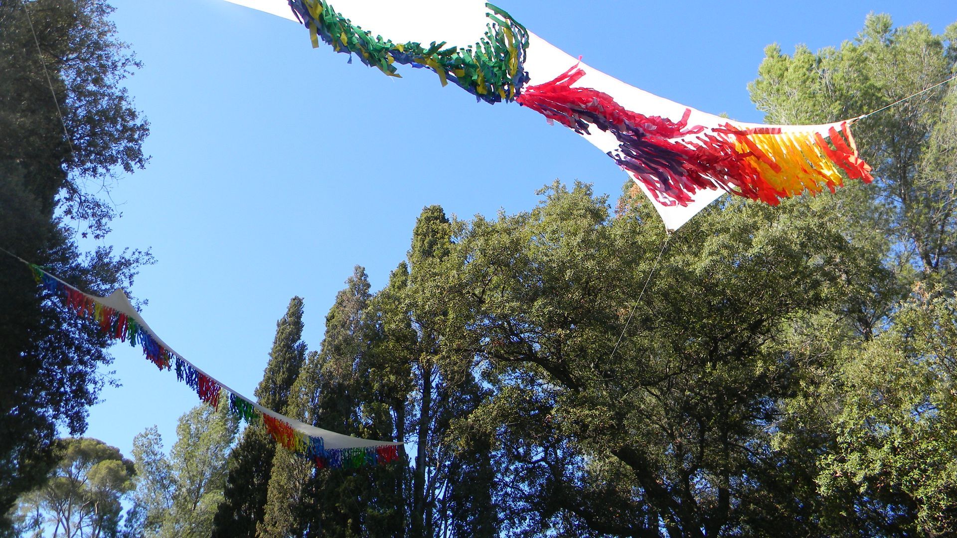 Dos hileras de banderines coloridos con flecos cuelgan contra un cielo azul despejado y frondosos árboles verdes.