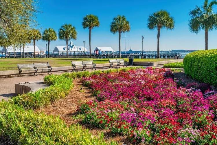 Aligning Plans with Charleston’s Seasons