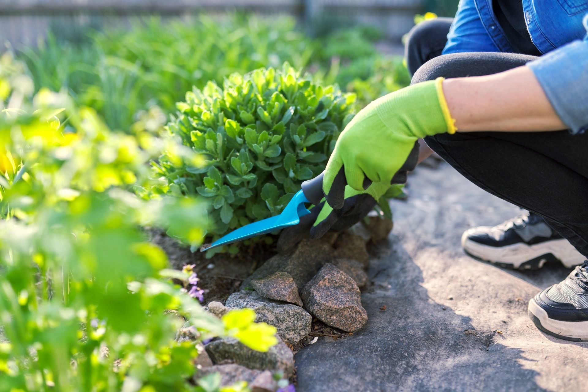 Gartenarbeit