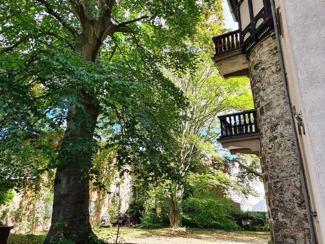 Stadtvilla Außenansicht mit Balkonen und Garten