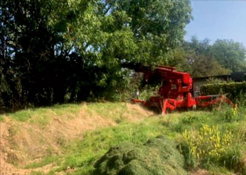 Rote Baumschneidemaschine schneidet Äste auf einer Wiese.
