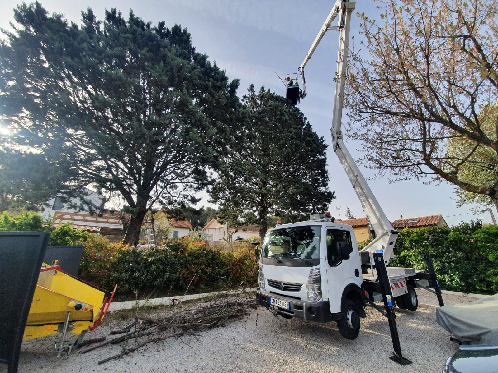 Photo d'un élagage d'arbre à l'aide d'une nacelle