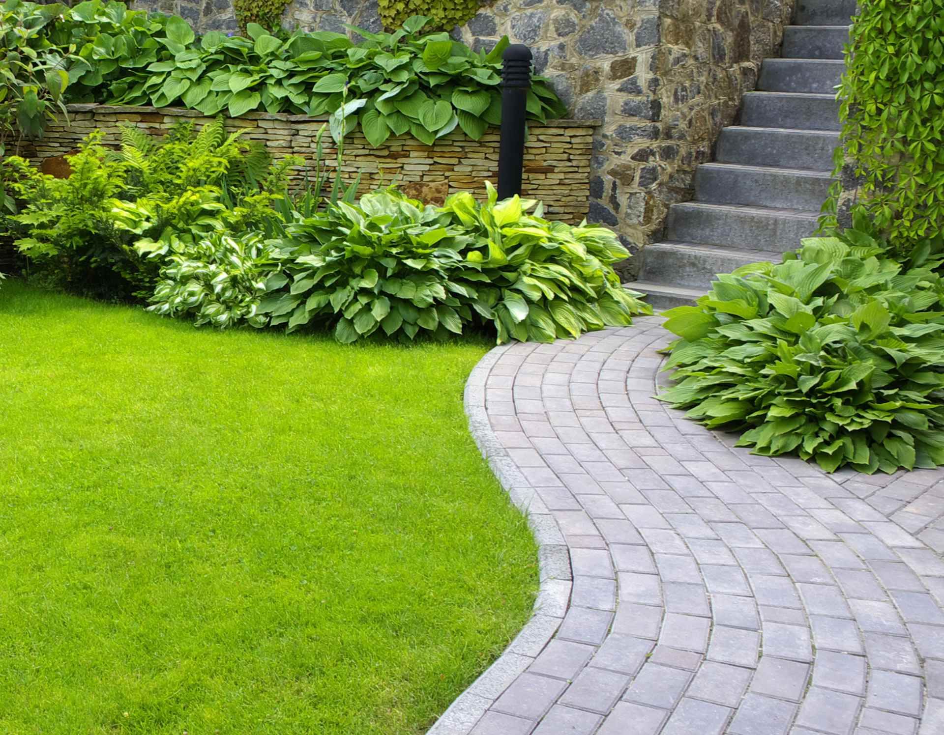 Ein üppiger grüner Rasen mit einem geschwungenen Steinweg, der zu einer Treppe neben einer Steinmauer und verschiedenen Grünpflanzen führt.