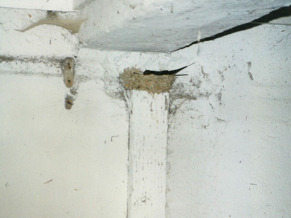 niemand bringt mich aus der Ruhe