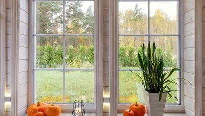 Dos ventanas con vistas a un patio y árboles. Calabazas y una planta en el alféizar.