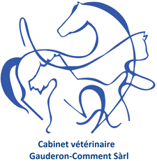 Cabinet v&eacute;t&eacute;rinaire Gauderon - Comment S&agrave;rl