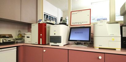 Un vétérinaire sourit à une personne qui prend une cage de transport bleue pour animaux de compagnie au comptoir d'une clinique.