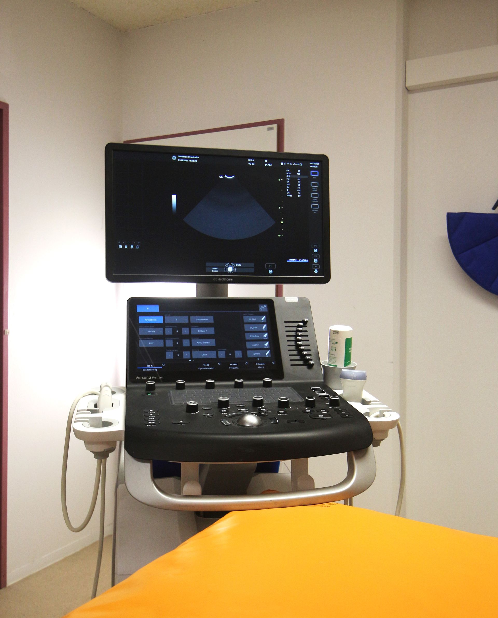 Un vétérinaire sourit à une personne qui prend une cage de transport bleue pour animaux de compagnie au comptoir d'une clinique.