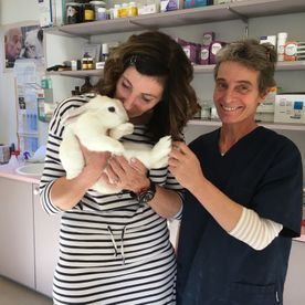 Un golden retriever se fait caresser sur la table d'examen chez le vétérinaire. Le vétérinaire porte une blouse bleue, le propriétaire est à proximité.