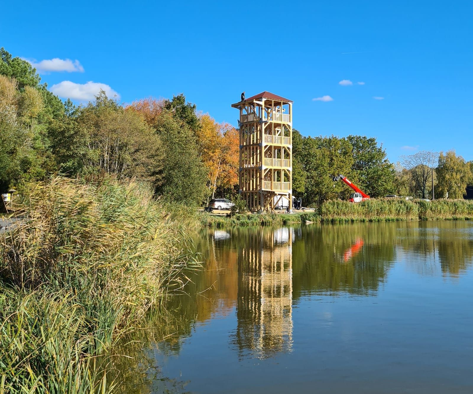 Tour bois d'observation à Rillé