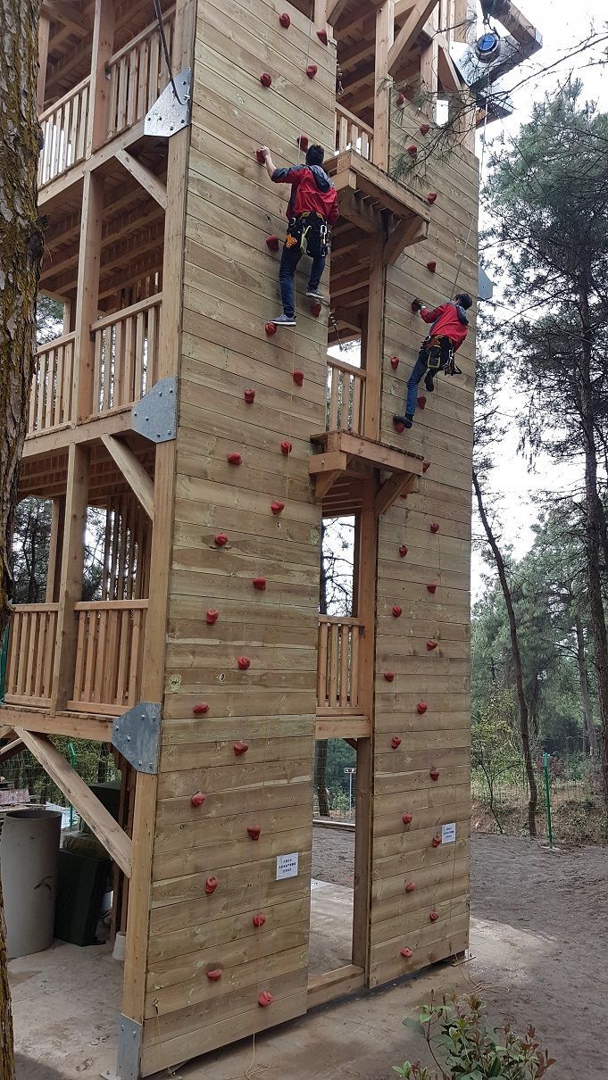 Planches en pin, pour mur d'escalade