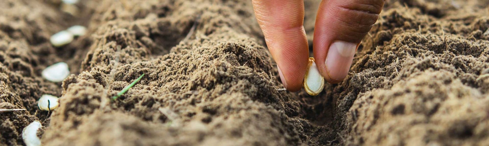 Erfahren Sie mehr über unseren lokalen Bio-Markt