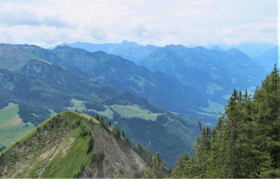 Ein Panoramablick auf grüne, bewaldete Bergkämme und Täler unter einem wolkigen, bedeckten Himmel.