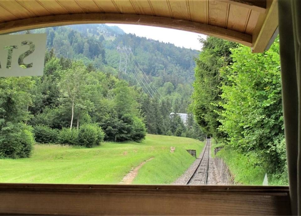 Blick aus dem Zugfenster auf einen grasbewachsenen Hang, einen dichten grünen Wald und Berge mit Gleisen, die vor einem verlaufen.