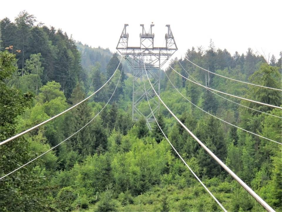 In einem dichten grünen Wald steht ein metallener Stromübertragungsturm, von dem Stromleitungen bis in den Vordergrund reichen.