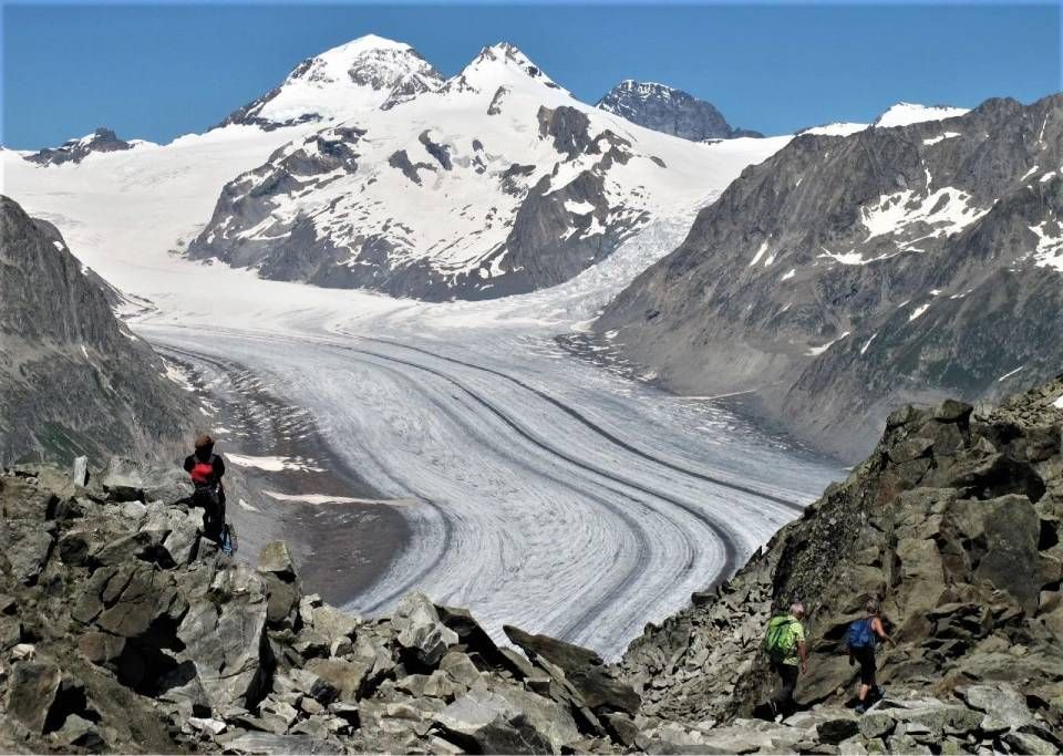 Wanderer überblicken den sich windenden Aletschgletscher, der sich unter klarem, blauem Himmel vor hohen, schneebedeckten Alpengipfeln abhebt.