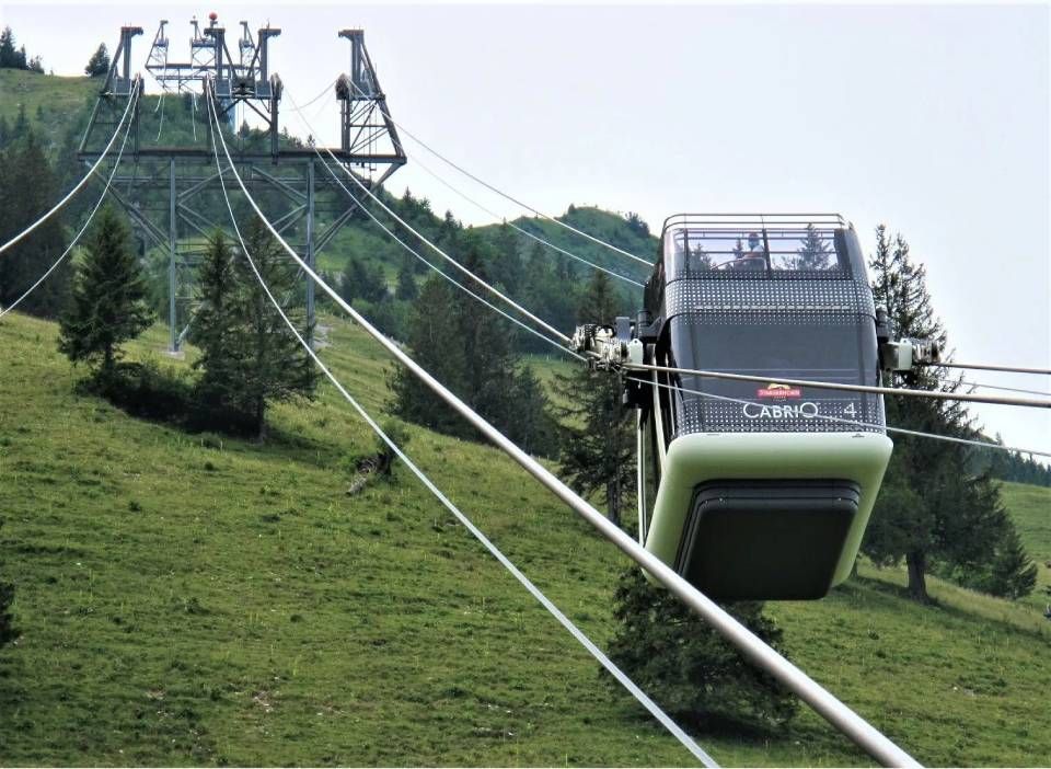 Eine moderne Seilbahnkabine fährt an Stahlseilen über einen grünen, grasbewachsenen Berghang mit Kiefern.