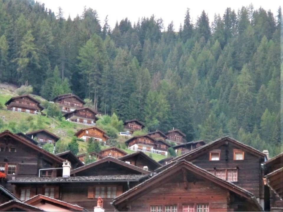 Eine Ansammlung traditioneller, dunkler Holzchalets an einem üppig bewaldeten Berghang.