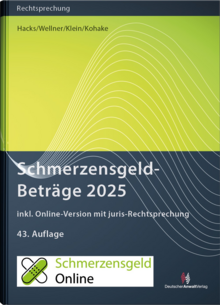 A green and black book titled schmerzensgeld betrage 2025