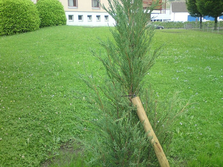 Aprigio Group Sarl - espace vert