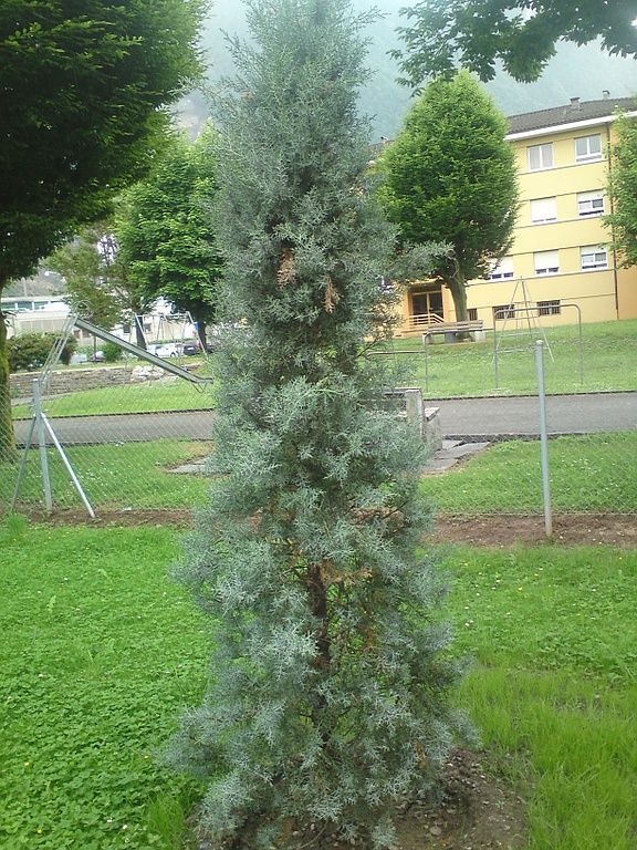 Aprigio Group Sarl - paysagisme