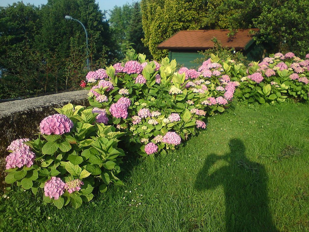 Aprigio Group Sarl - paysagisme