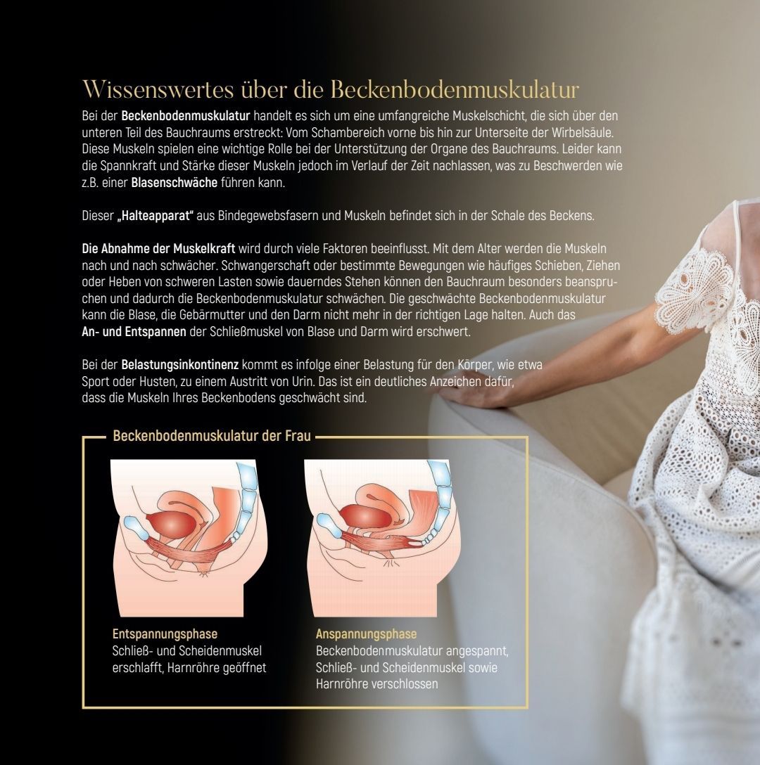 Broschüre Beckenbodenmuskulatur | Powerchair