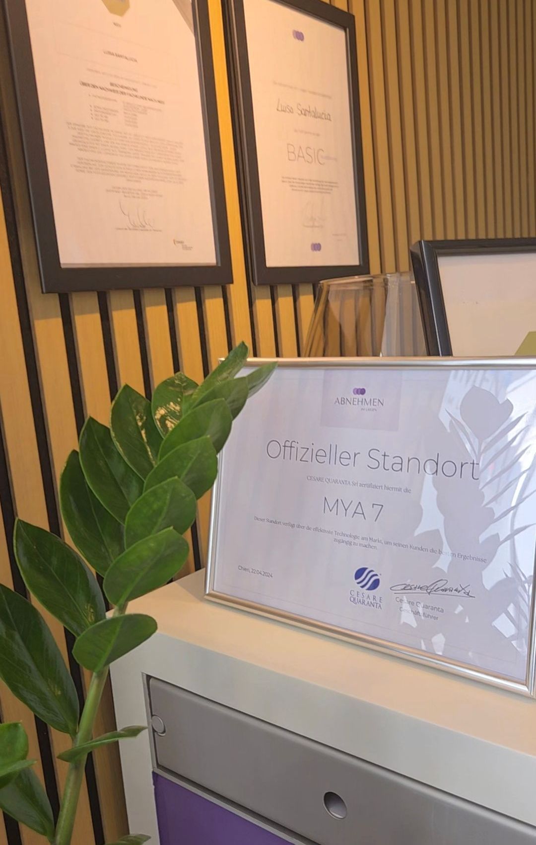 eine Frau blättert in einem Flyer über MYA7