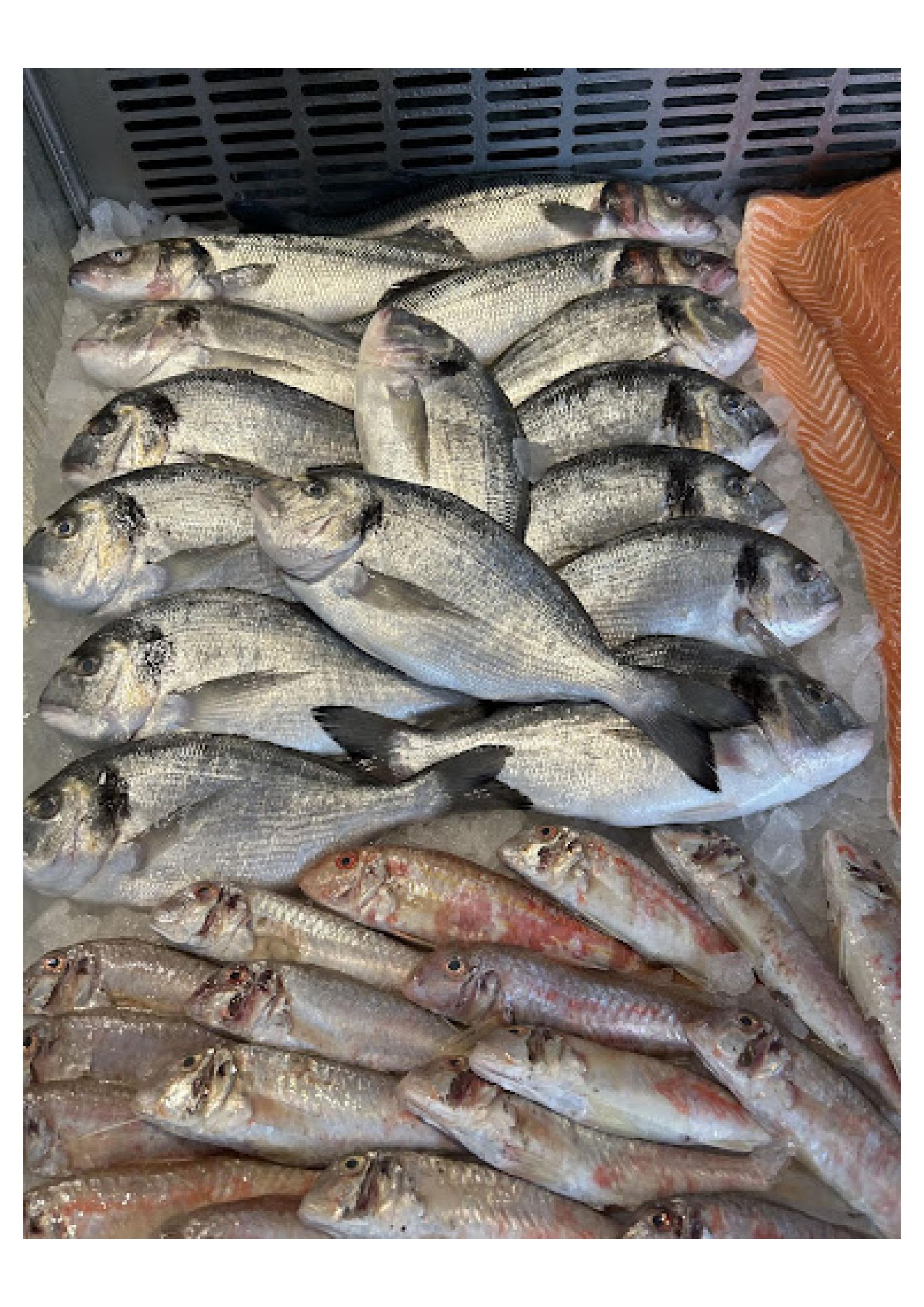 Assortiment de poissons sur glace