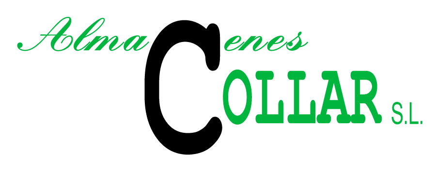 imagen cabecera