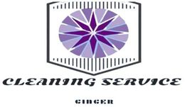 Services Cleaning Ginger
