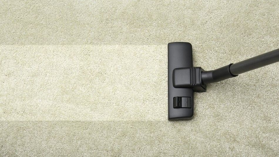 Cabezal de aspiradora negro sobre alfombra beige, visto desde arriba.