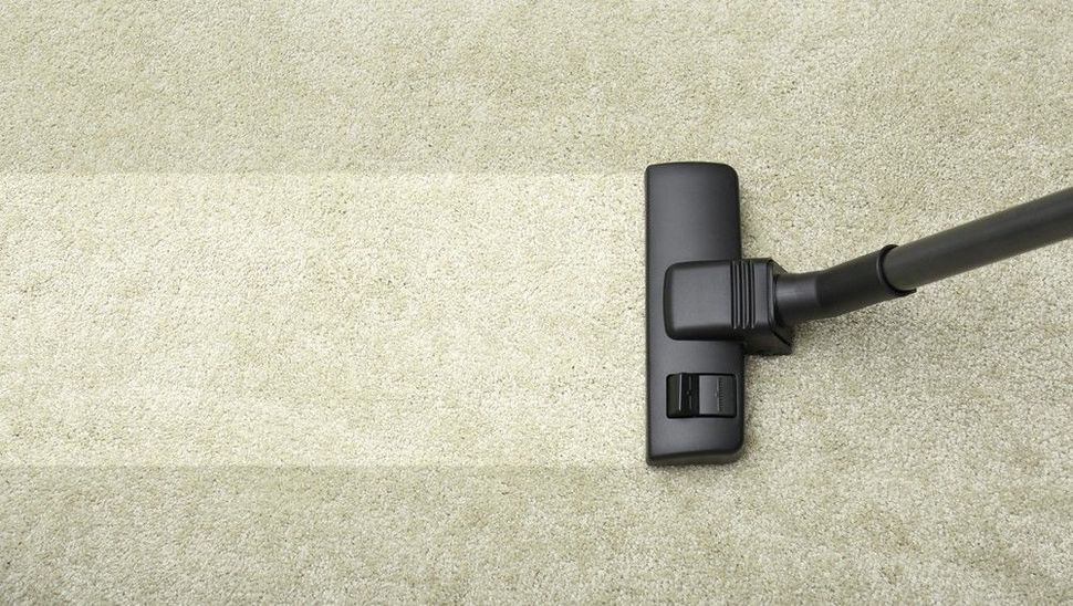 Cabezal de aspiradora negro sobre alfombra beige, visto desde arriba.