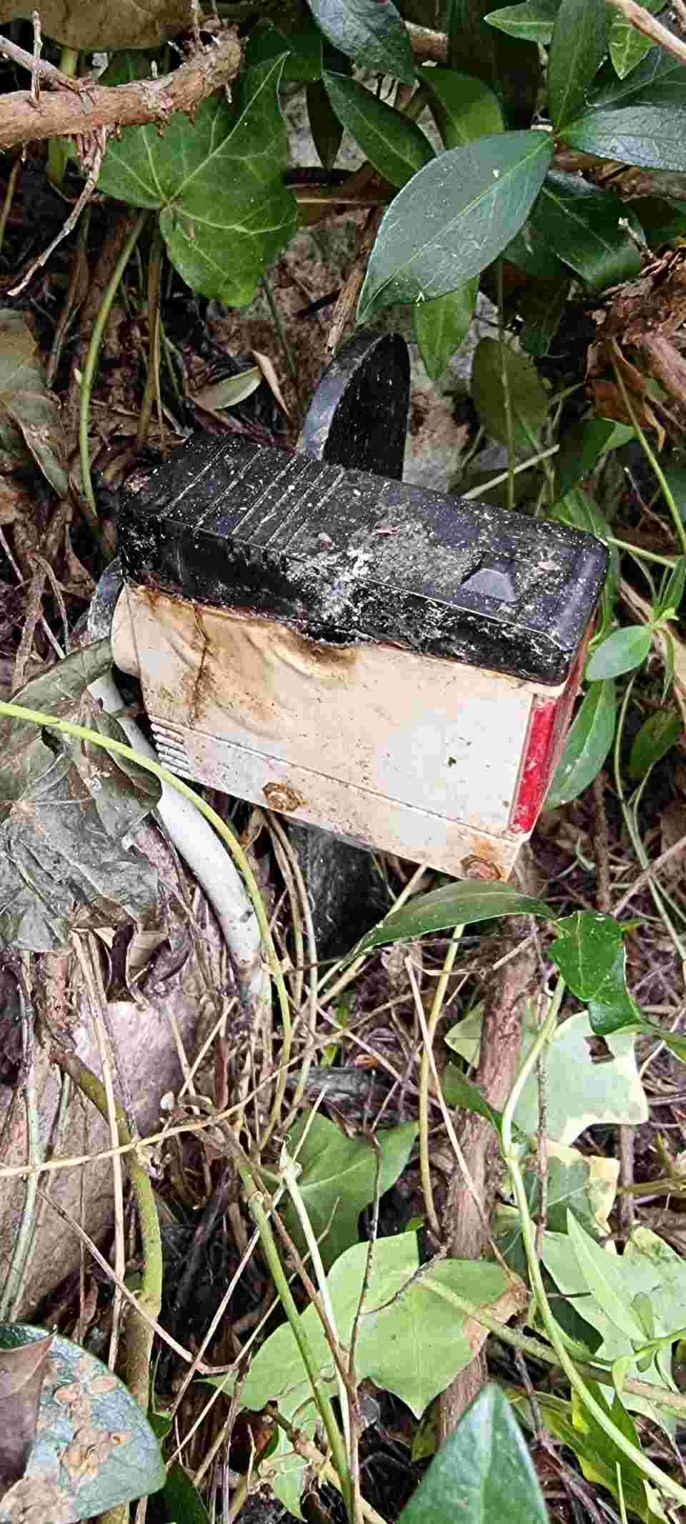 Un morceau de bois repose sur le sol dans les bois.