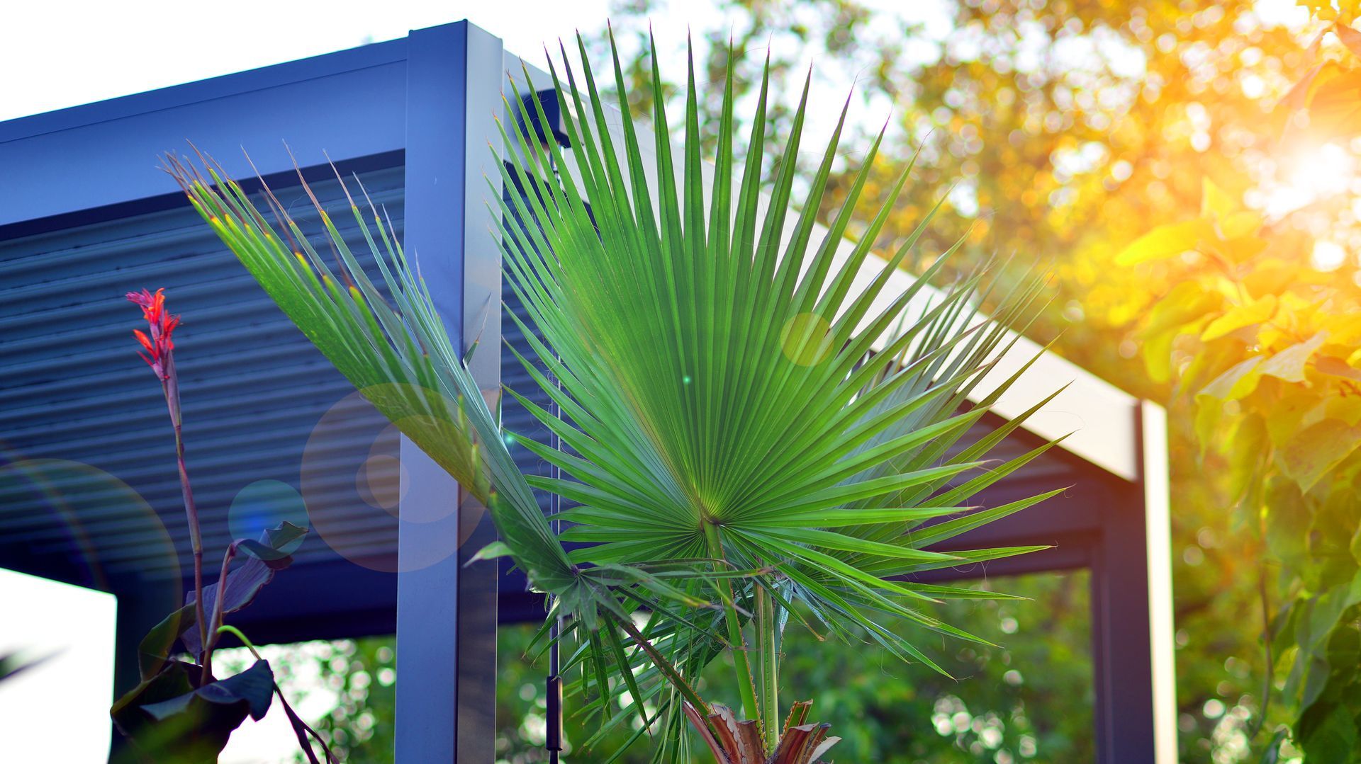 Feuilles de palmier vertes en plein soleil près d'une structure sombre et moderne.