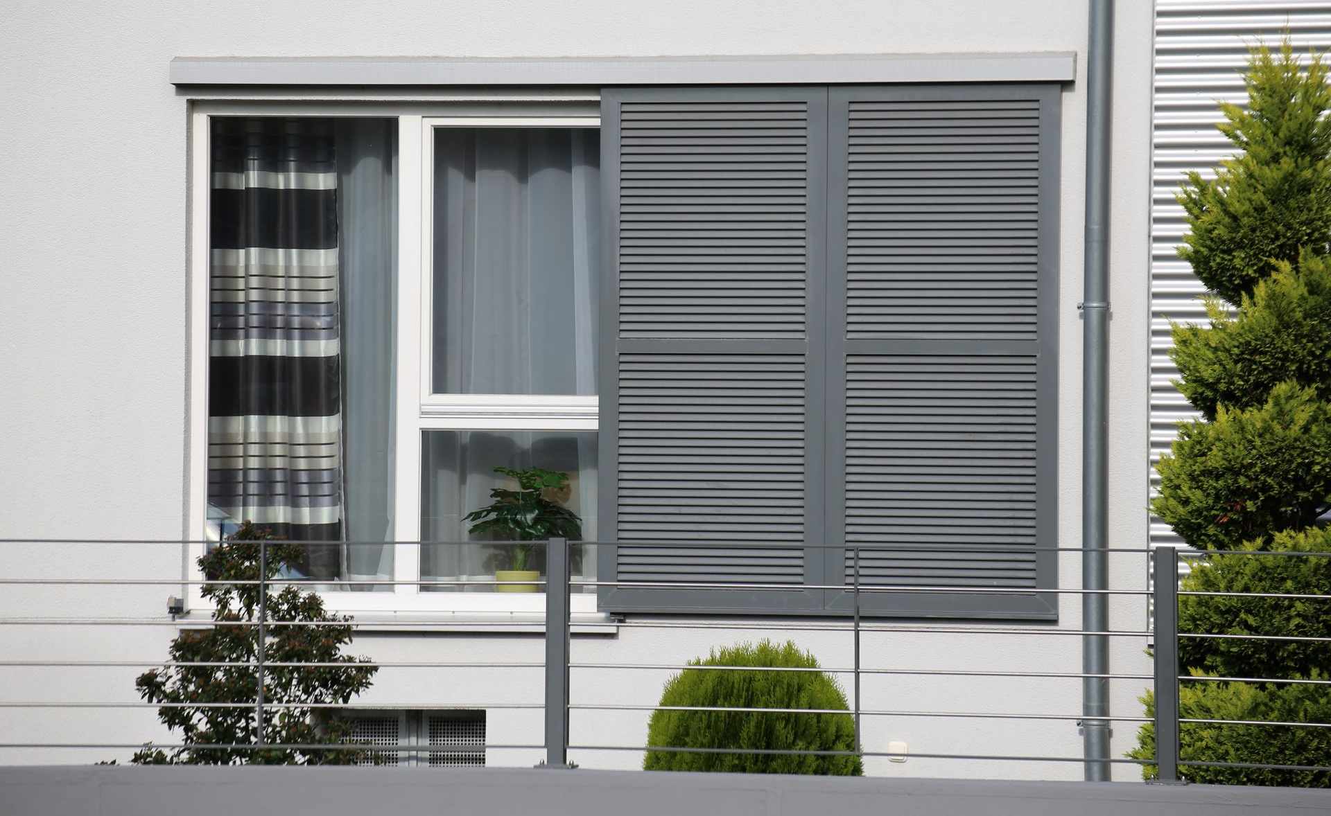 Fenêtre aux volets gris partiellement fermés, à côté d'un petit conifère.