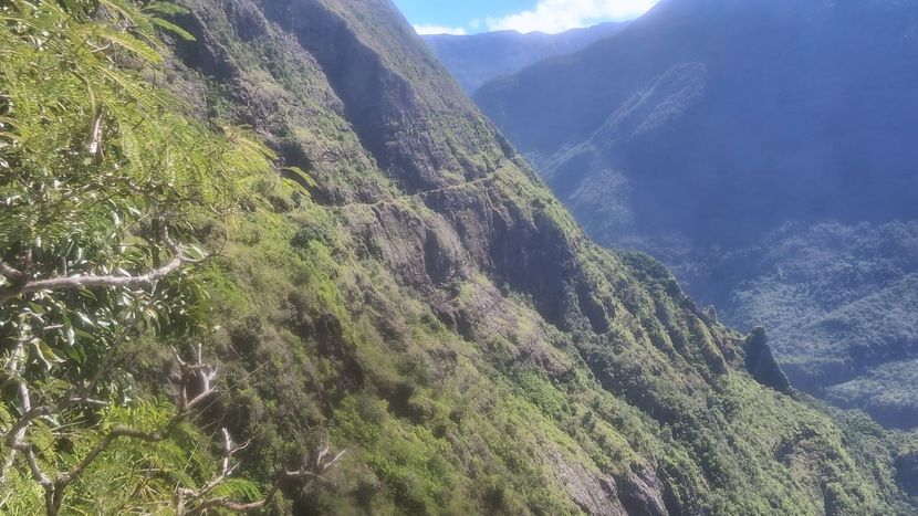 Un versant montagneux escarpé et verdoyant surplombant une vallée ensoleillée.