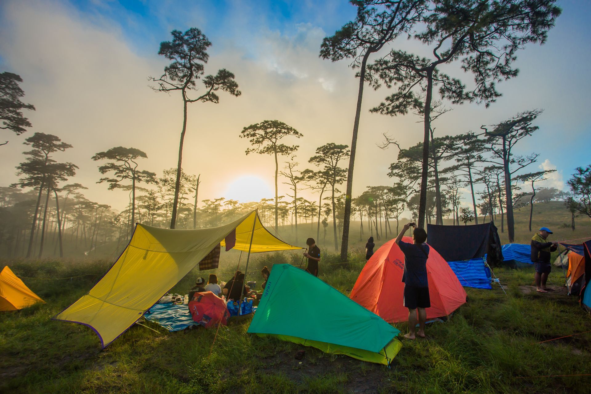 Des tentes colorées dressées dans une forêt brumeuse au lever du soleil, entourées de grands arbres et de campeurs.