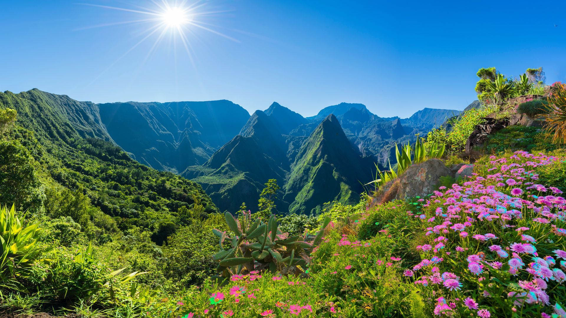 Vallée montagneuse verdoyante et luxuriante, parsemée de fleurs roses, sous un ciel d'un bleu éclatant et un soleil radieux.