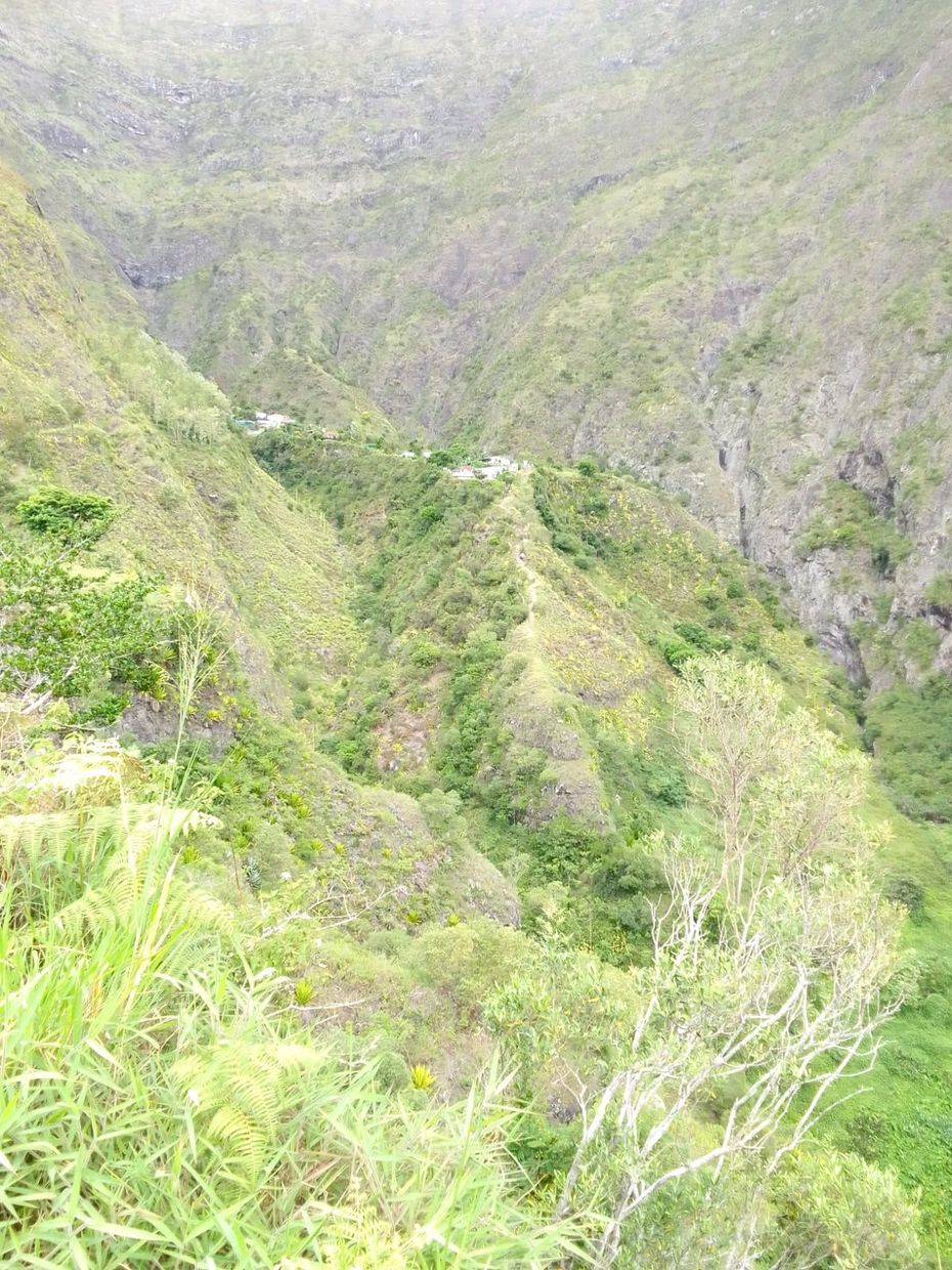 Versant montagneux escarpé et verdoyant, avec une vallée étroite et une végétation dense.
