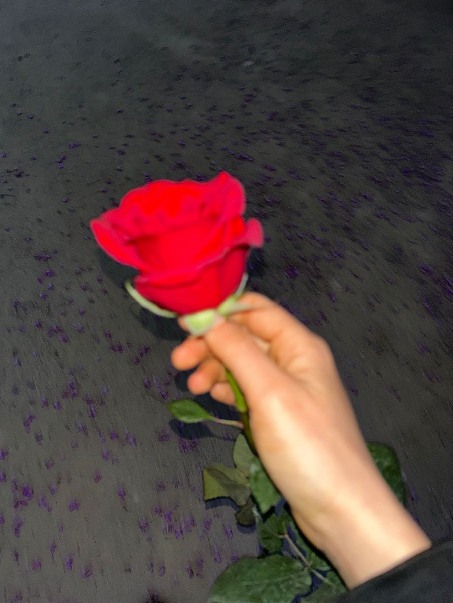 Mano sosteniendo una rosa roja vibrante sobre un fondo oscuro y texturizado.