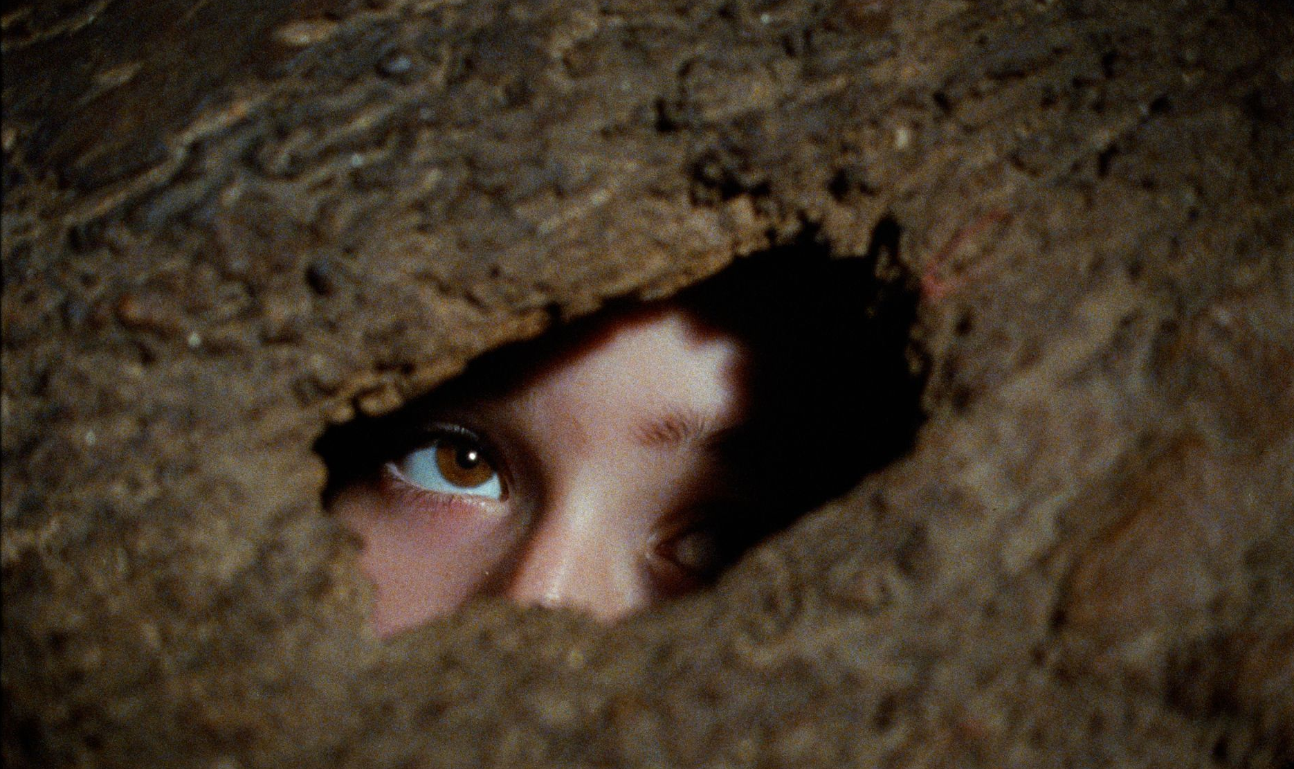 Un ojo humano asomándose por un agujero en la tierra. Ojo marrón, mirando hacia arriba.