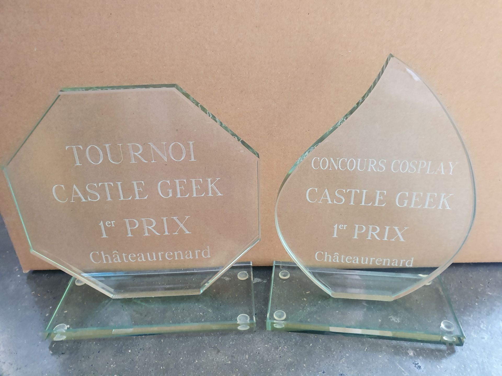 Trophée Castel Geek.