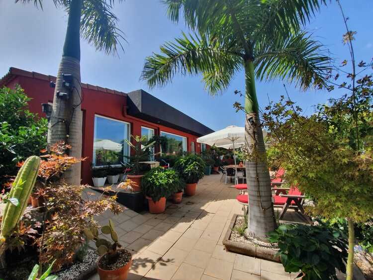 Una casa con muchas plantas en macetas en el frente.