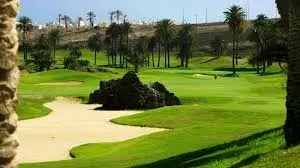 Un campo de golf con mucho césped verde y palmeras.