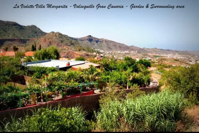 Una imagen de una exuberante ladera verde con montañas al fondo.